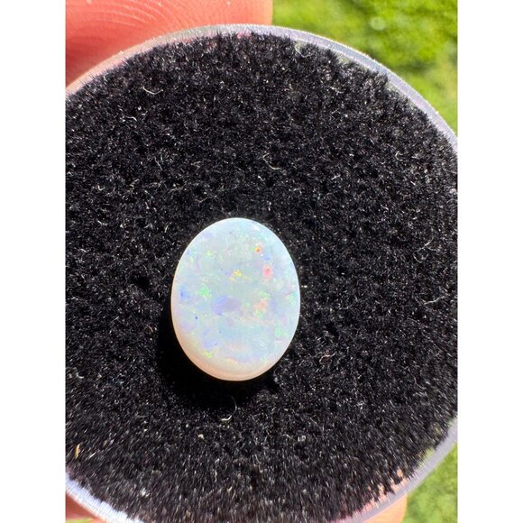 Australian Opal Cabochon - 0.88 carat #139 in Display Box - Picture 6 of 6